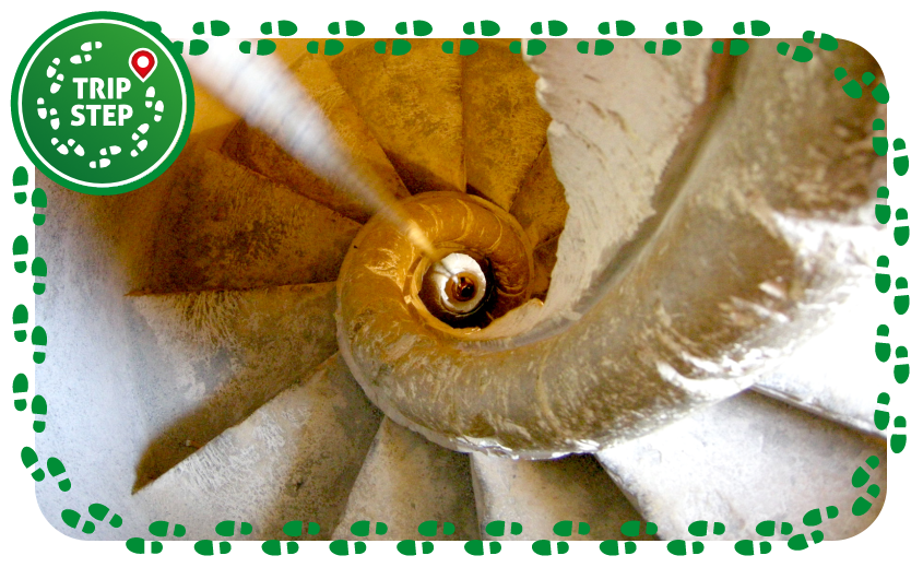 Chiesa di San Carlo scala del campanile foto di Sailko via Wikimedia Commons