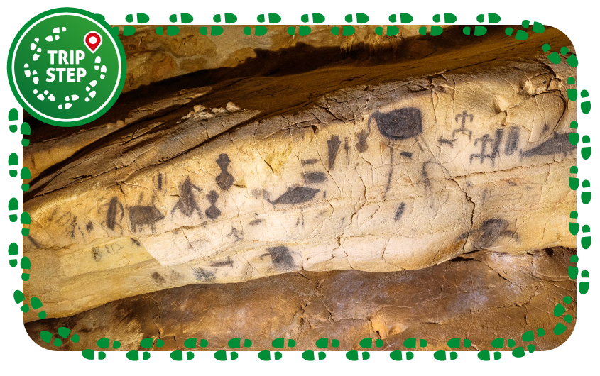 Grotta del Genovese pitture rupestri foto di Mimmo V via Tripadvisor