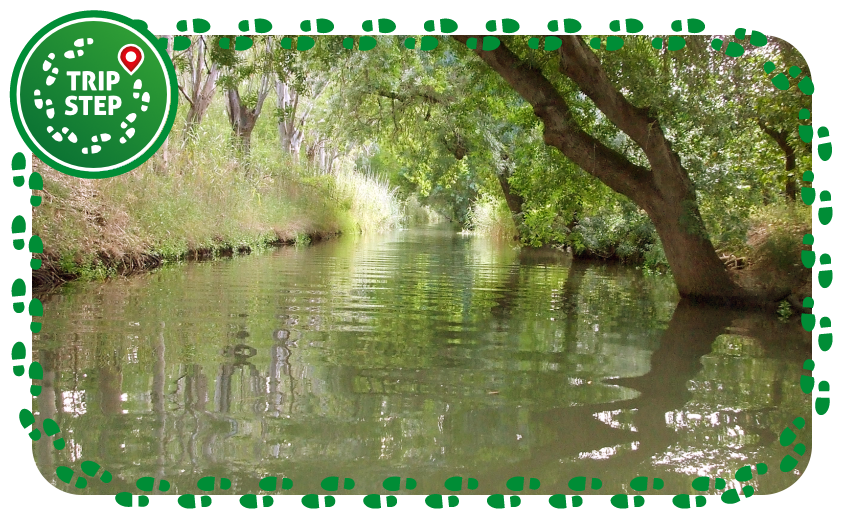 Riserva naturale Fiume Ciane e Saline di Siracusa foto di: Gio la Gamb via Wikimedia Commons