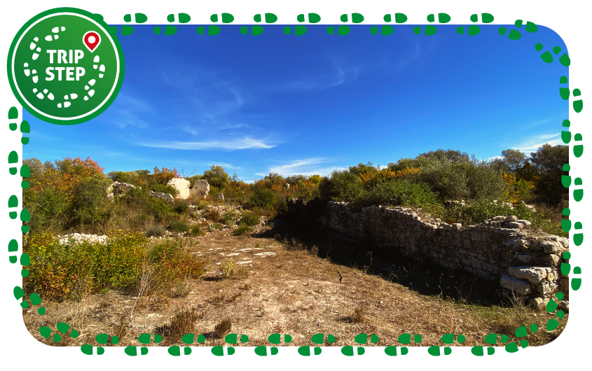 Noto Antica area della Piazza Maggiore foto di Tripstep
