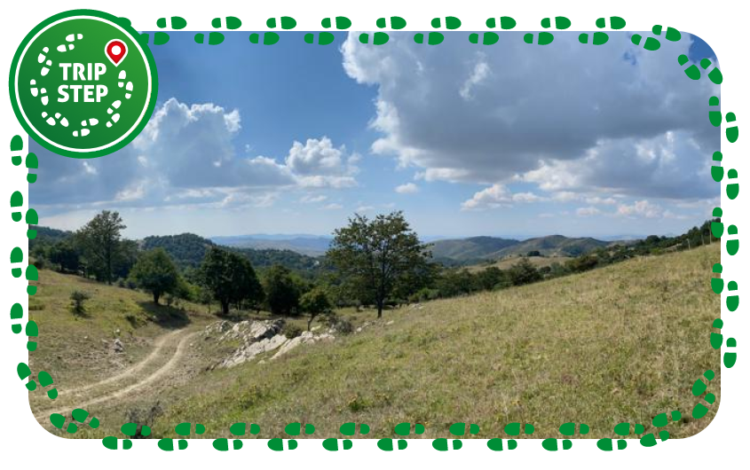 Bosco della Tassita panorama